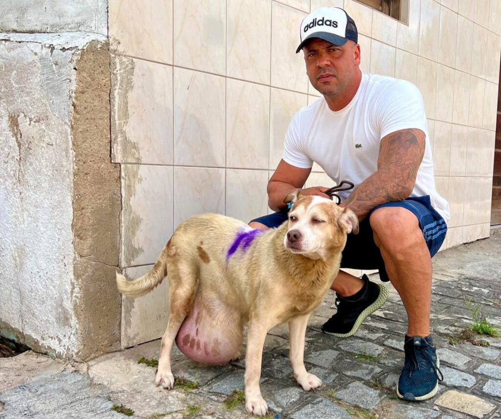 Anderson Correia reforça fiscalização, combate aos maus-tratos e atendimento à população durante ponto facultativo em Caruaru