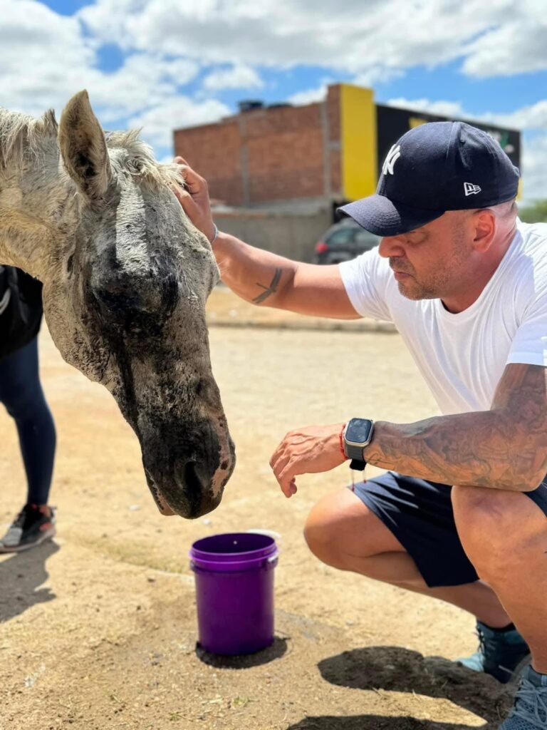 Anderson Correia intensifica combate aos maus-tratos contra animais em Caruaru